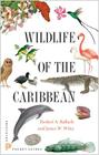Wildlife of the Caribbean (Princeton Pocket Guides) Cover Image