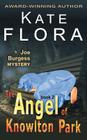 The Angel of Knowlton Park (a Joe Burgess Mystery, Book 2) By Kate Flora Cover Image
