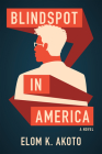 Blindspot in America Cover Image