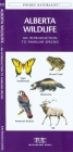 Ontario Birds: A Folding Pocket Guide to Familiar Species By James Kavanagh, Waterford Press, Leung Raymond (Illustrator) Cover Image