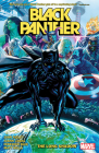 Black Panther by John Ridley Vol. 1: The Long Shadow Cover Image