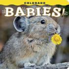 Colorado Babies! (Babies! (Farcountry Press)) By Steph Lemann Cover Image