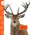 Deer (Spot Backyard Animals) Cover Image