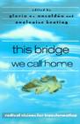 This Bridge We Call Home: Radical Visions for Transformation By Gloria Anzaldúa (Editor), Analouise Keating (Editor) Cover Image