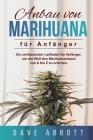 Anbau von Marihuana für Anfänger: Ein umfassender Leitfaden für Anfänger, um die Welt des Marihuananbaus von A bis Z zu erlernen By Dave Abbott Cover Image