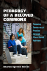 Pedagogy of a Beloved Commons: Pursuing Democracy's Promise Through Place-Based Activism By Sharon Egretta Sutton Cover Image