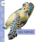 Sea Turtles (Spot Ocean Animals) By Mari C. Schuh Cover Image