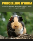 Porcellino D'India: Impara a conoscere i Porcellino D'India e goditi fatti e immagini incredibili By Daniela Luigi Cover Image
