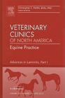 Advances in Laminitis, Part I, an Issue of Veterinary Clinics: Equine Practice: Volume 26-1 (Clinics: Veterinary Medicine #26) Cover Image