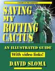 Saving My Rotting Cactus By David Sloma Cover Image