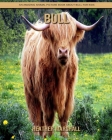Bull: An Amazing Animal Picture Book about Bull for Kids By Heather Marshall Cover Image