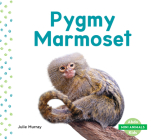 Pygmy Marmoset (Mini Animals) By Julie Murray Cover Image