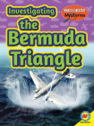 Investigating the Bermuda Triangle By Orlin Richard, John Willis (With) Cover Image