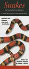 Snakes of South Florida: A Guide to Common & Notable Species Cover Image