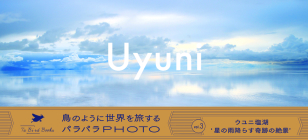 Uyuni Photo Flip Book (Ta Bird Book) Cover Image