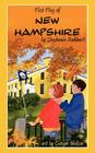 First Flag of New Hampshire By Stephanie Burkhart, Ginger Nielson (Illustrator) Cover Image
