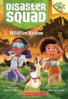 Wildfire Rescue: A Branches Book (Disaster Squad #1) By Rekha S. Rajan, Courtney Lovett (Illustrator) Cover Image