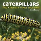 Caterpillars: Find, Identify, Raise Your Own By Chris Earley Cover Image