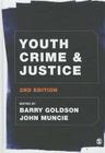 Youth Crime and Justice Cover Image
