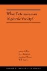 What Determines an Algebraic Variety? Cover Image