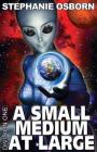 A Small Medium At Large (Division One #2) By Stephanie Osborn, Darrell Osborn (Artist) Cover Image