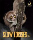 Slow Lorises (Creatures of the Night) By Quinn M. Arnold Cover Image
