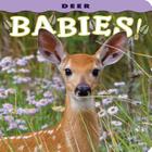 Deer Babies! (Babies! (Farcountry Press)) Cover Image