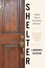 Shelter: A Black Tale of Homeland, Baltimore Cover Image