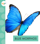 Blue Morphos Cover Image