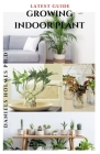 Latest Guide Growing Indoor Plant: Easy Step By Step Guide To Growing Your Plant Indoor Successfully By Daniels Holmes Ph. D. Cover Image