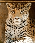 Jaguar: Amazing Facts and Pictures about Jaguar for Kids Cover Image