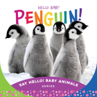Hello Baby Penguin! By Beverly Rose Cover Image