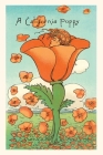 The Vintage Journal Illustration of California Poppy Person Cover Image