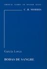 Garcia Lorca: Bodas de Sangre (Critical Guides to Spanish & Latin American Texts and Films) By C. B. Morris Cover Image