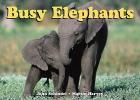 Busy Elephants (A Busy Book) By John Schindel, Martin Harvey (Photographs by) Cover Image