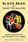 Black Beak and Sandy the Sea Dog By Jennifer Sopranzi, Tony Sopranzi (Designed by), Catherine Van Riper (Illustrator) Cover Image