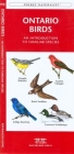 Ontario Wildlife: A Folding Pocket Guide to Familiar Animals By James Kavanagh, Leung Raymond (Illustrator), Waterford Press Cover Image