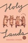 Holy Lands By Amanda Sthers Cover Image