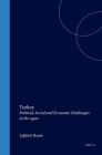 Turkey: Political, Social and Economic Challenges in the 1990s By Kalaycioglu (Editor), Karatas (Editor), Winrow (Editor) Cover Image