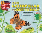 From Caterpillar to Butterfly (Let's-Read-and-Find-Out Science 1) By Deborah Heiligman, Bari Weissman (Illustrator) Cover Image