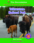 Yellowstone National Park: A Natural Wonder By Marla Tomlinson Cover Image