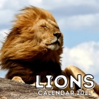 Lions: 2021 Calendar, Cute Gift Idea For Lion Lovers Men And Women By Average Jelly Press Cover Image