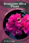 Bougainvillea Plant: Plant overview and guide Cover Image