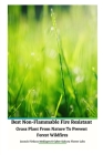Best Non-Flammable Fire Resistant Grass Plant From Nature to Prevent Forest Wildfires By Jannah Firdaus Mediapro Cover Image