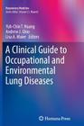 A Clinical Guide to Occupational and Environmental Lung Diseases (Respiratory Medicine) Cover Image