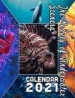 The Beauty of Underwater Scenery Calendar 2021: 18 Months October 2020 through March 2022 Cover Image
