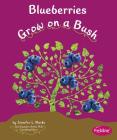 Blueberries Grow on a Bush (How Fruits and Vegetables Grow) By Mari Schuh Cover Image
