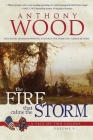 The Fire that Calms the Storm: A Story of the Civil War Cover Image