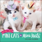 Kitten Lady's Mini Cats in Mini Hats 2022 Mini Wall Calendar By Hannah Shaw Cover Image