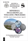 Minerals, Inclusions and Volcanic Processes (Reviews in Mineralogy & Geochemistry #69) By Keith D. Putirka (Editor), Frank J. Tepley III (Editor) Cover Image